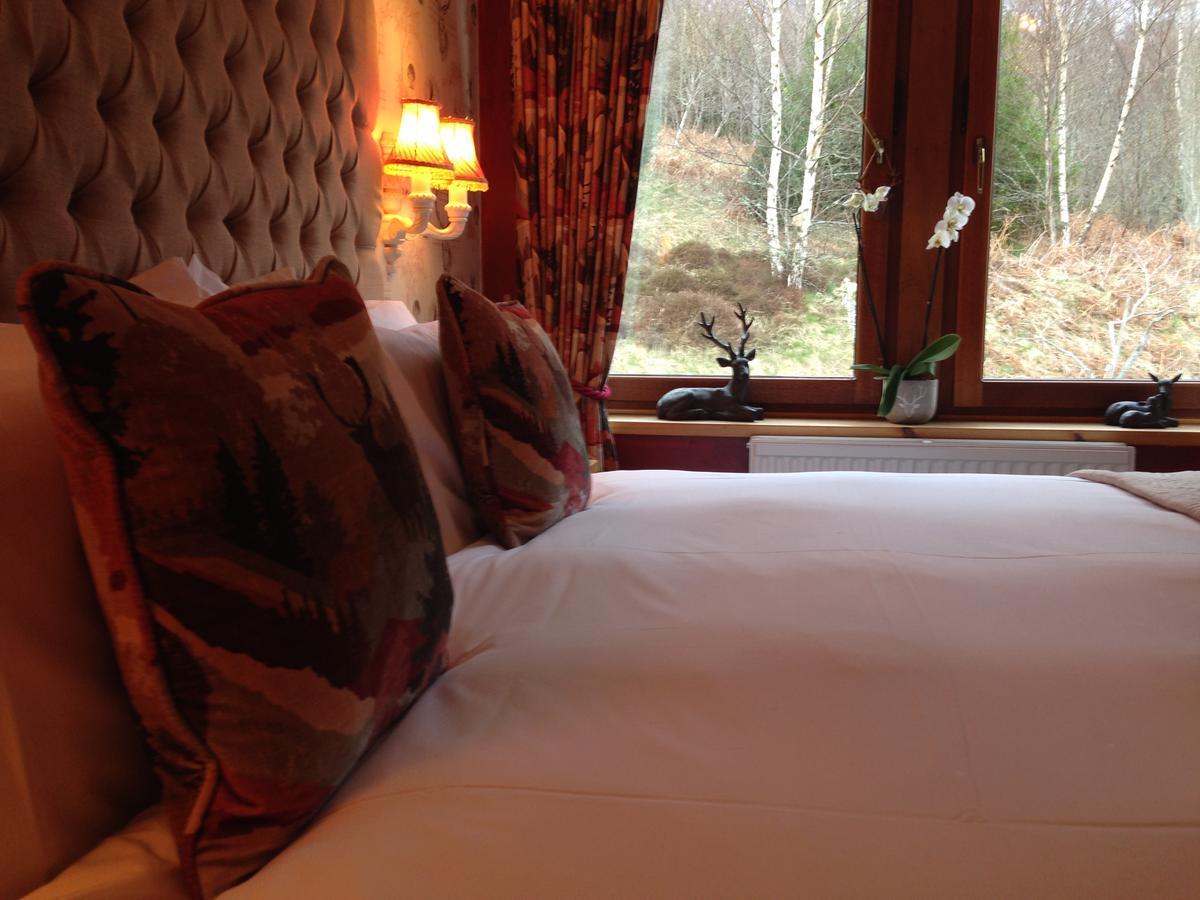Highland Bear Lodge & Luxury Bear Huts Drumnadrochit Dış mekan fotoğraf