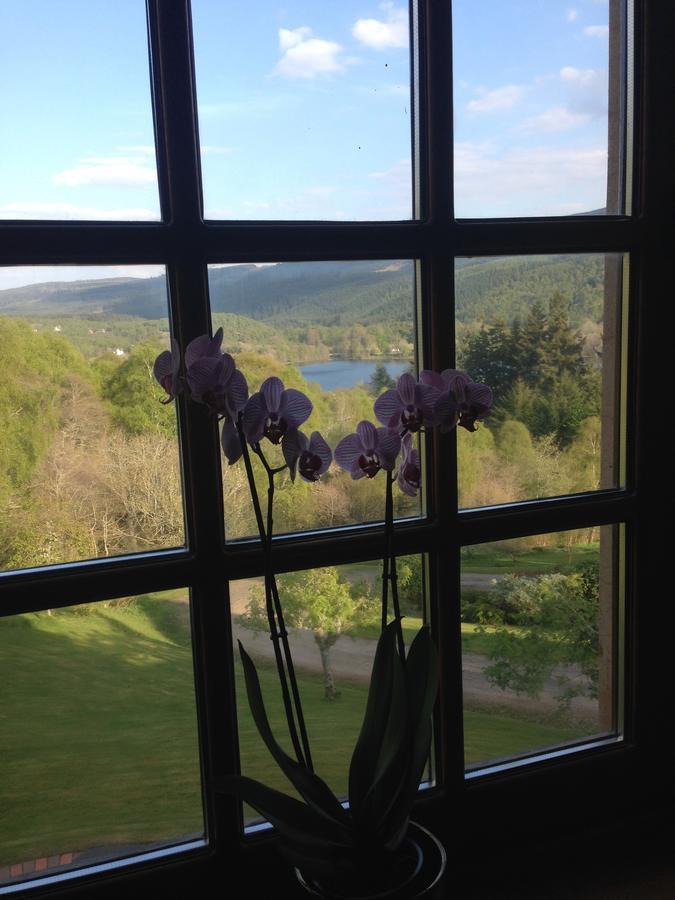 Highland Bear Lodge & Luxury Bear Huts Drumnadrochit Dış mekan fotoğraf