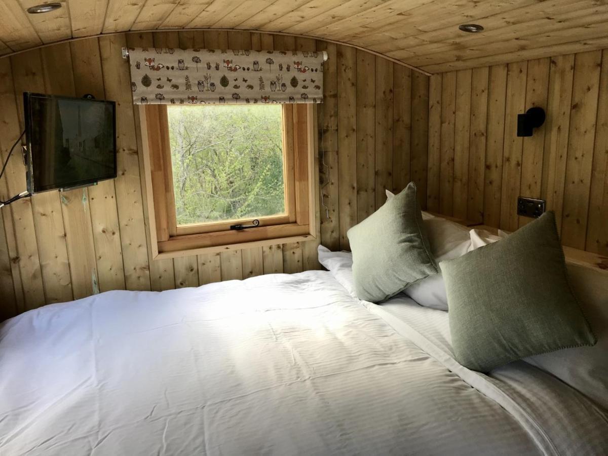 Highland Bear Lodge & Luxury Bear Huts Drumnadrochit Dış mekan fotoğraf