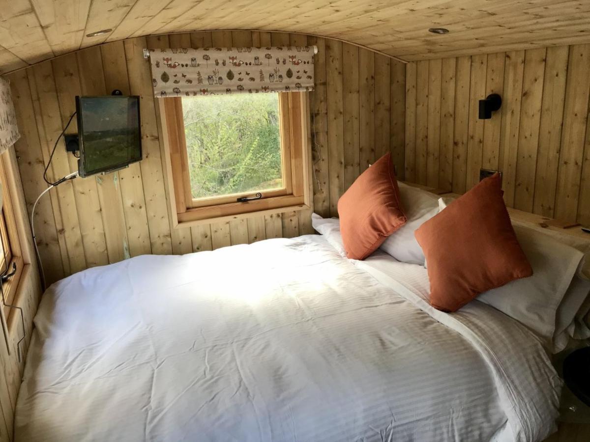 Highland Bear Lodge & Luxury Bear Huts Drumnadrochit Dış mekan fotoğraf